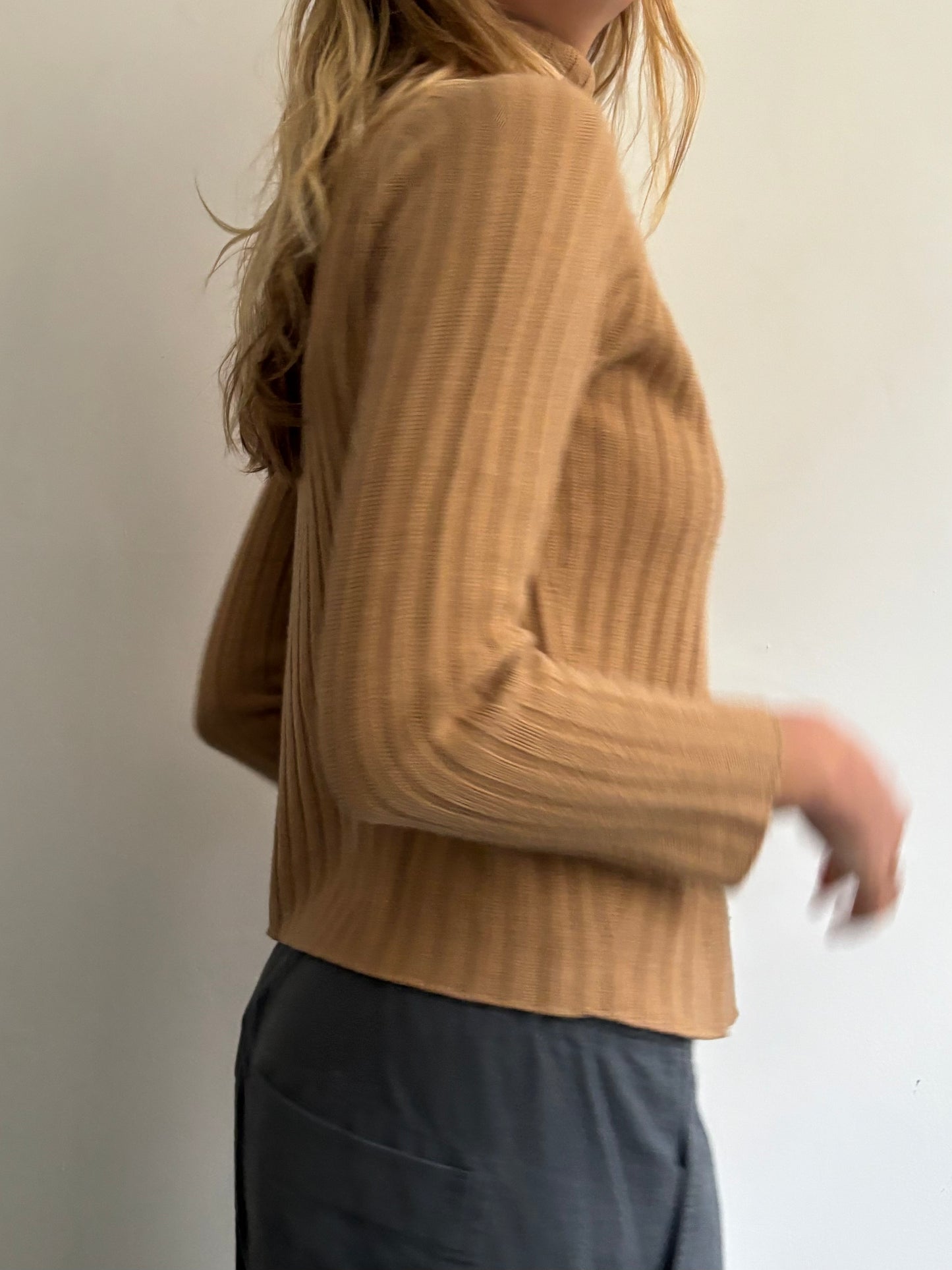 Camel Roll Neck Jumper