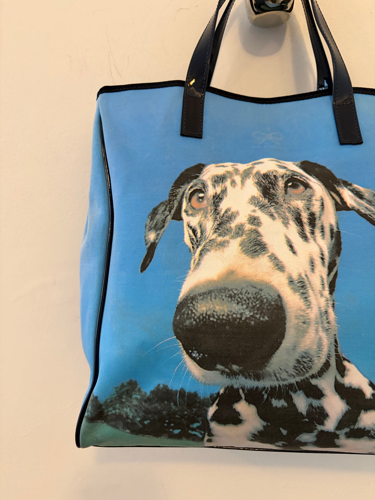 Anya Hindmarch Dalmatian Bag