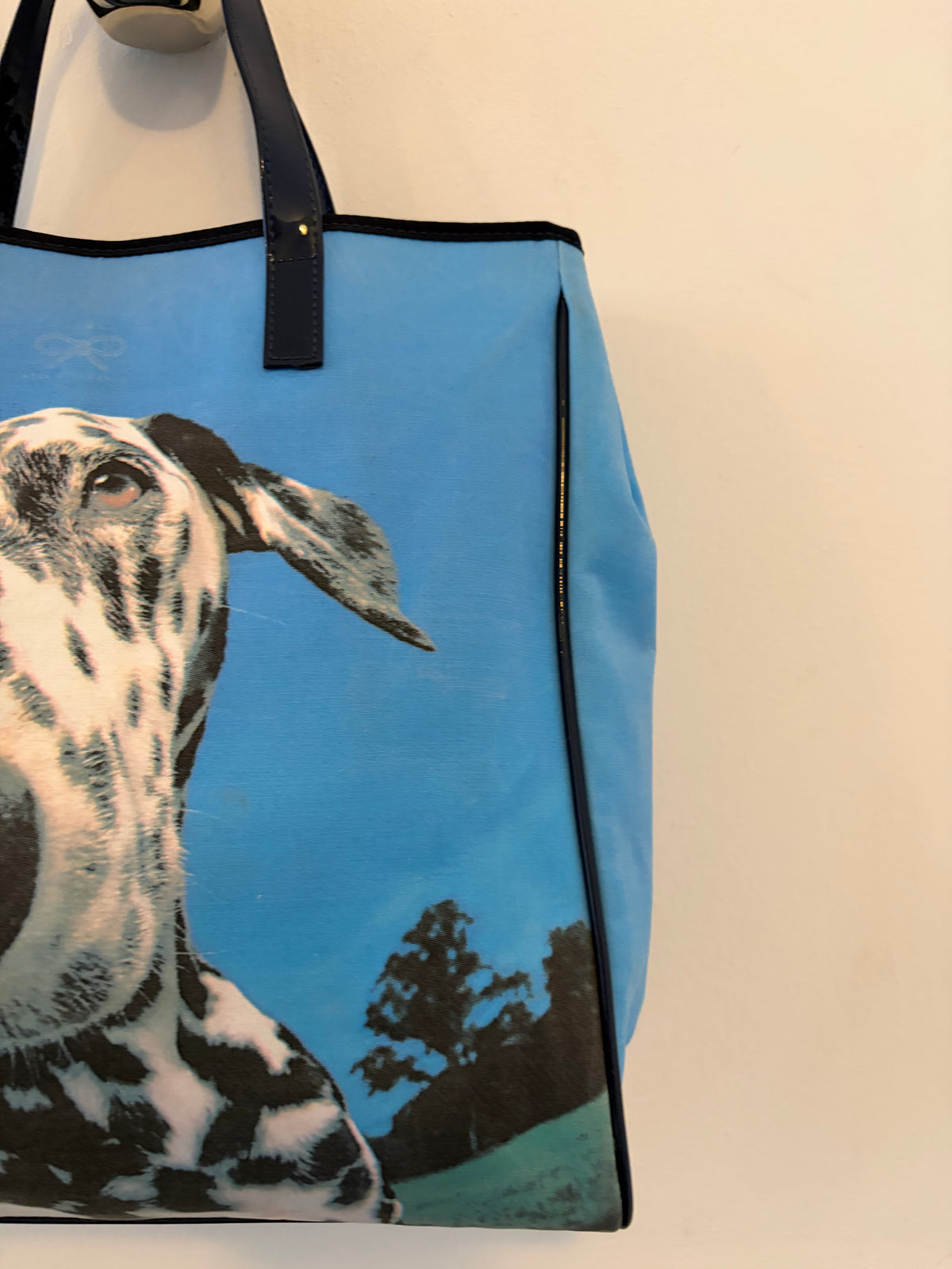 Anya Hindmarch Dalmatian Bag