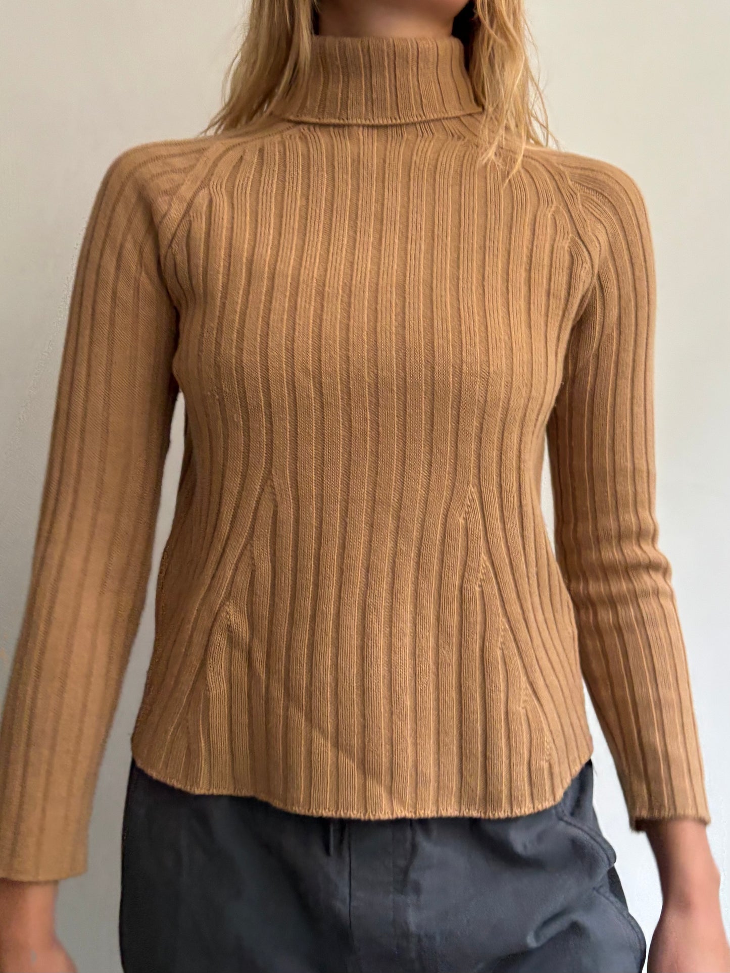 Camel Roll Neck Jumper
